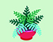 Indoor Air Quality